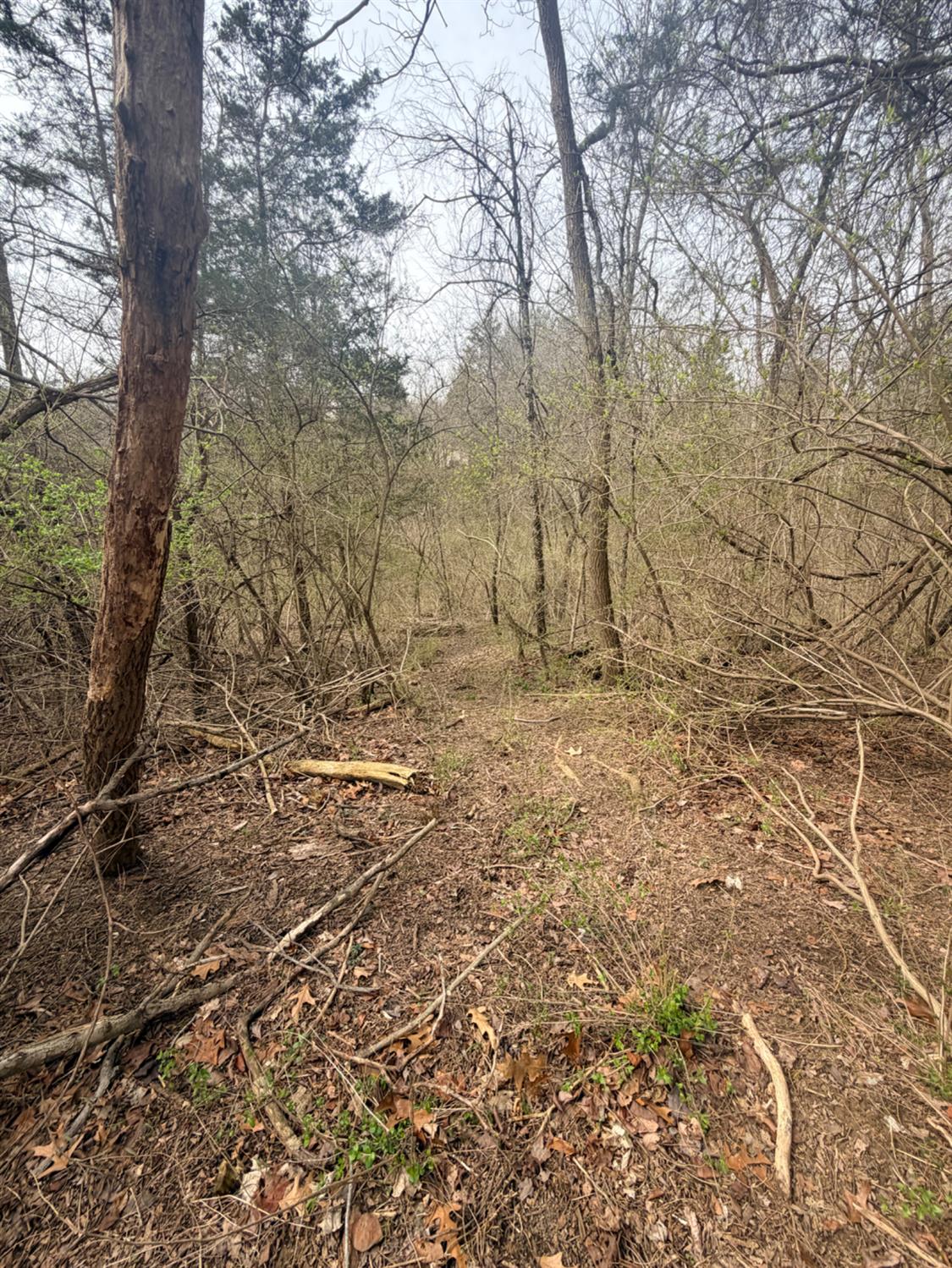 4035 Calihan Road West Harrison, IN 47060 - Photo 24 of 68