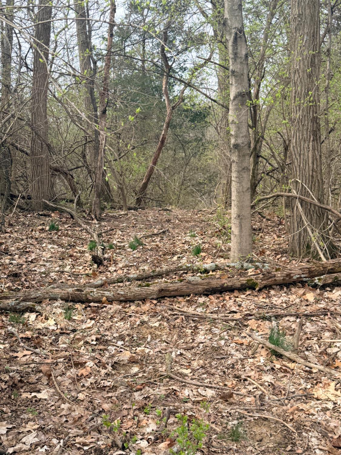 4035 Calihan Road West Harrison, IN 47060 - Photo 25 of 68