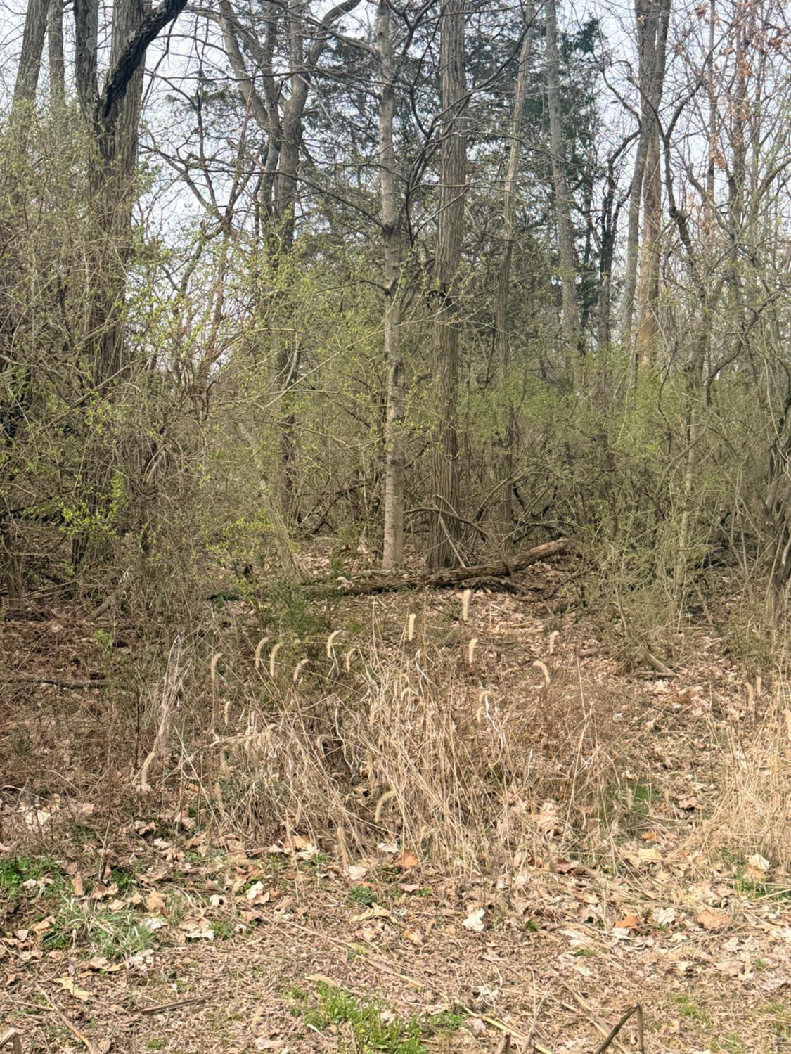 4035 Calihan Road West Harrison, IN 47060 - Photo 26 of 68