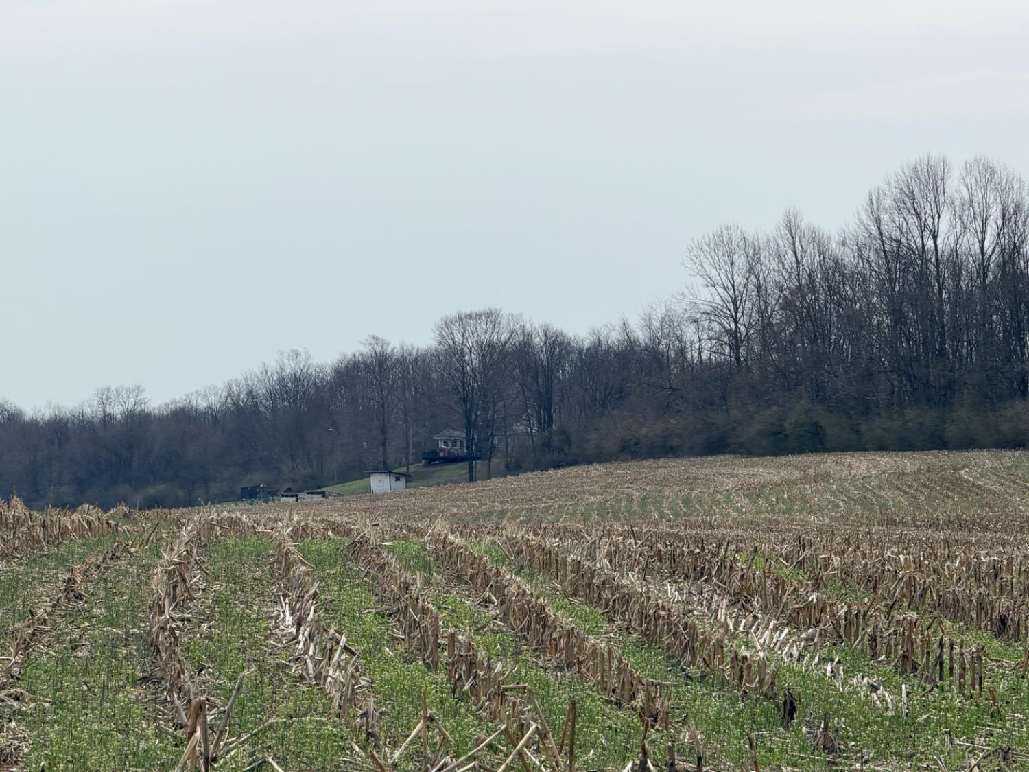 4035 Calihan Road West Harrison, IN 47060 - Photo 31 of 68