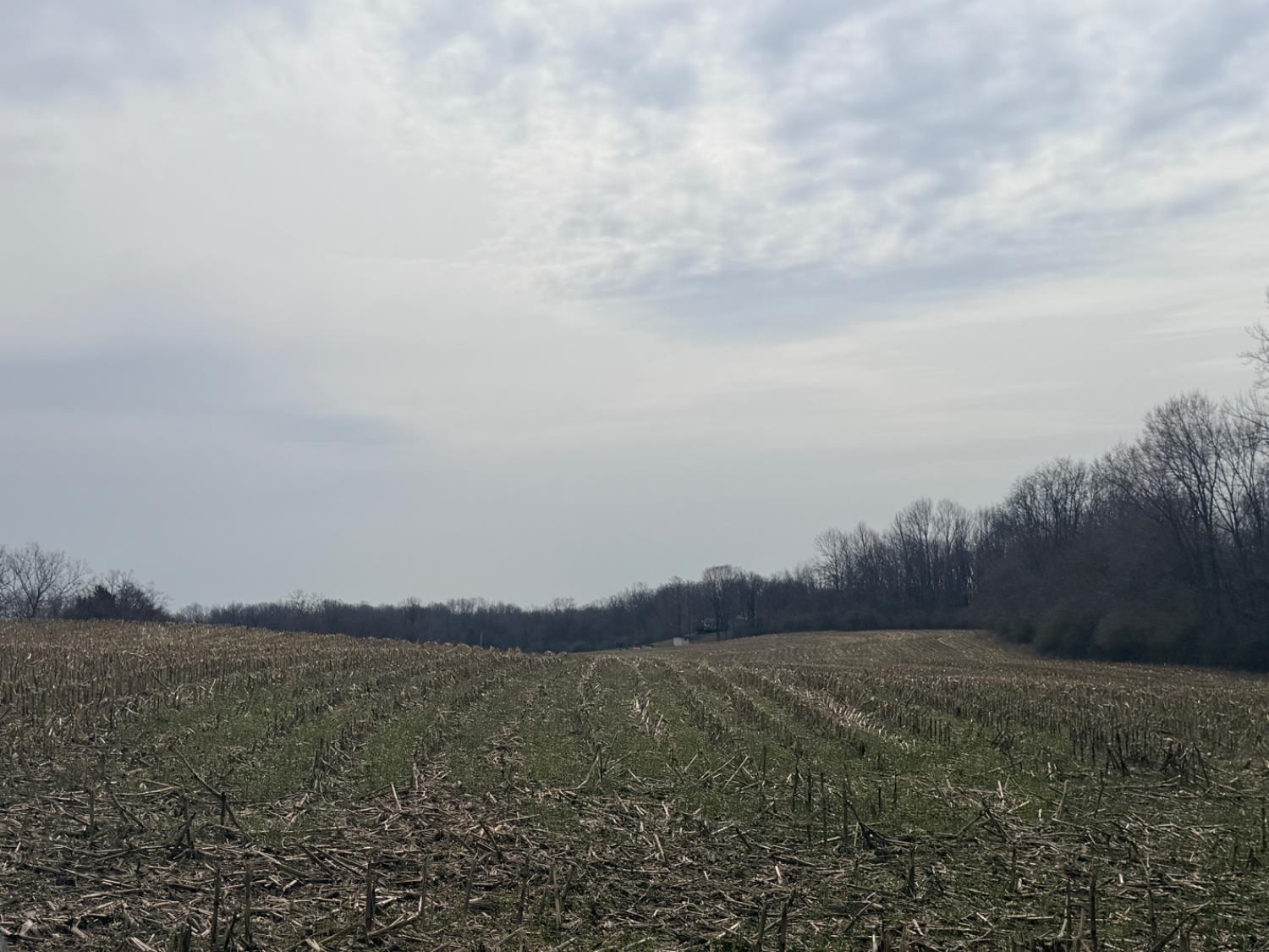 4035 Calihan Road West Harrison, IN 47060 - Photo 32 of 68