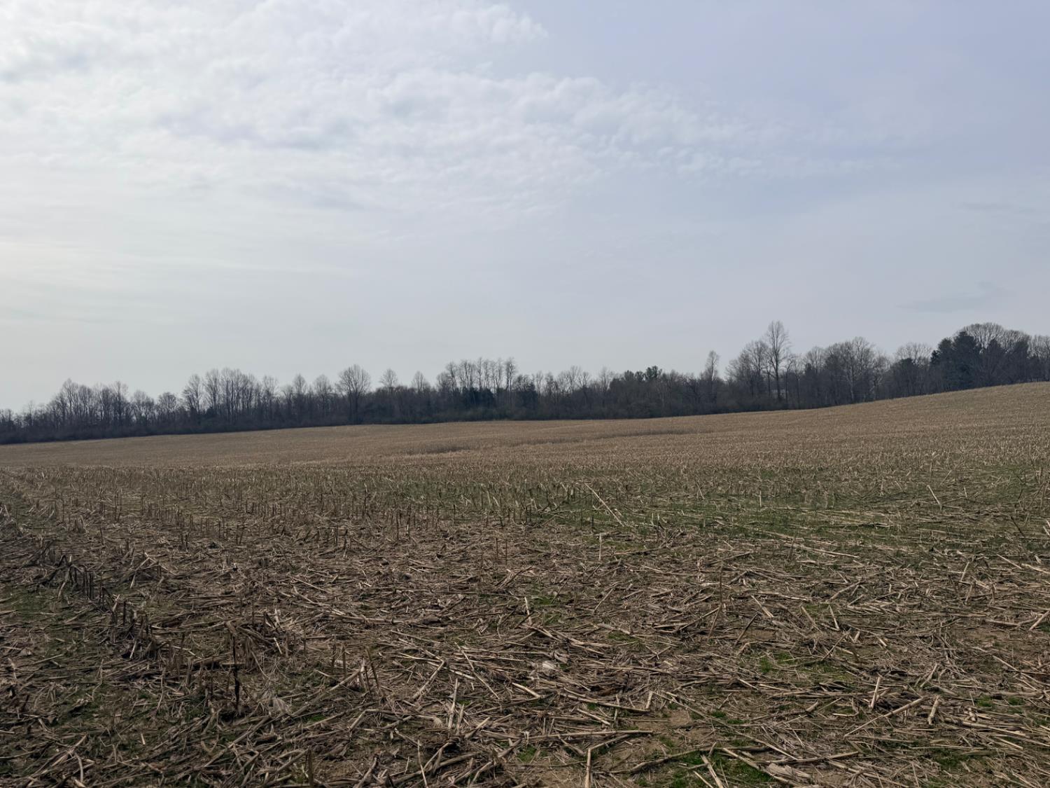 4035 Calihan Road West Harrison, IN 47060 - Photo 33 of 68