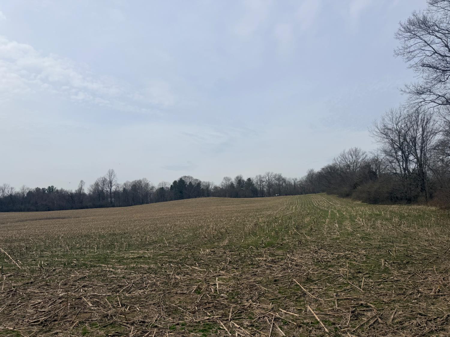 4035 Calihan Road West Harrison, IN 47060 - Photo 34 of 68