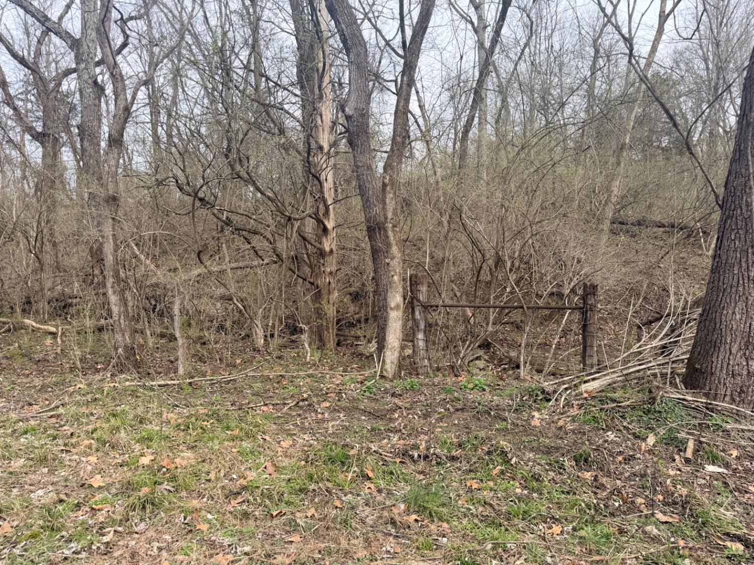 4035 Calihan Road West Harrison, IN 47060 - Photo 38 of 68