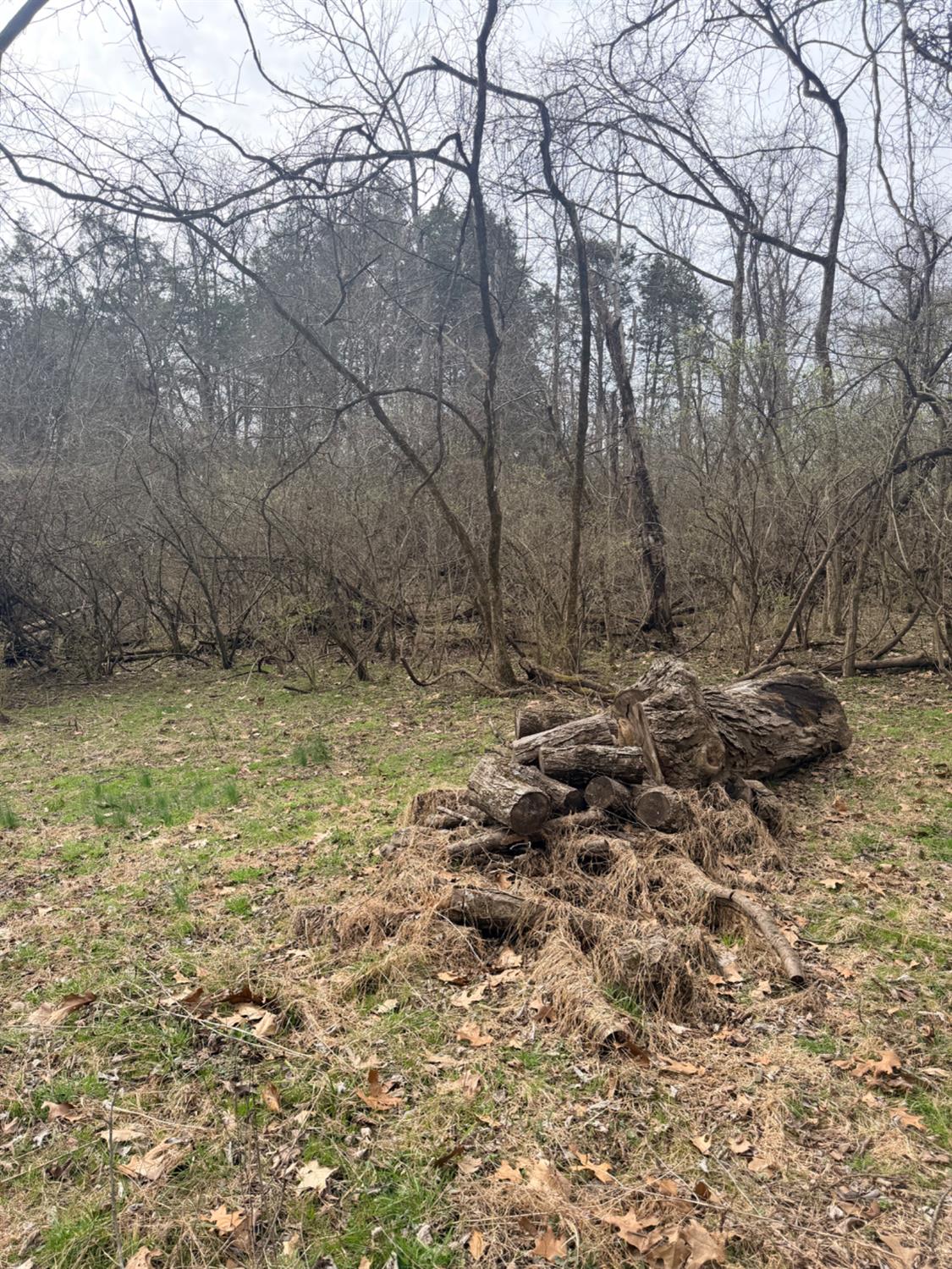 4035 Calihan Road West Harrison, IN 47060 - Photo 39 of 68