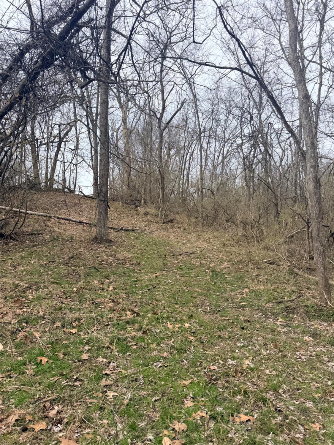 4035 Calihan Road West Harrison, IN 47060 - Photo 40 of 68