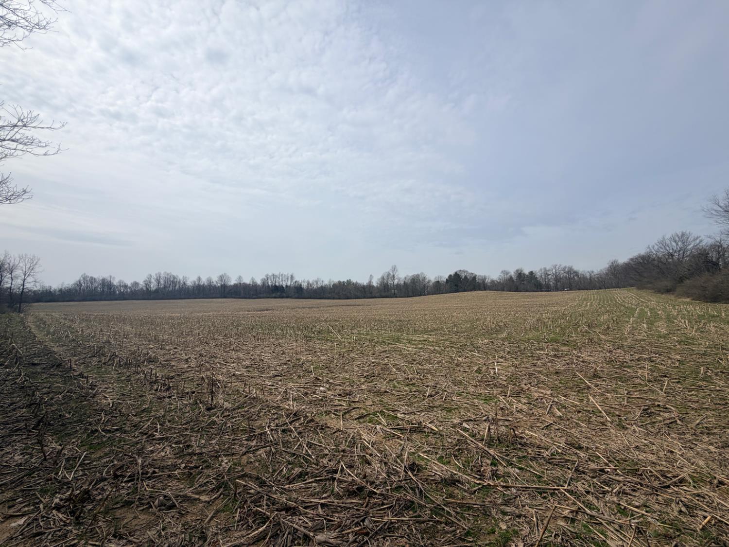 4035 Calihan Road West Harrison, IN 47060 - Photo 41 of 68