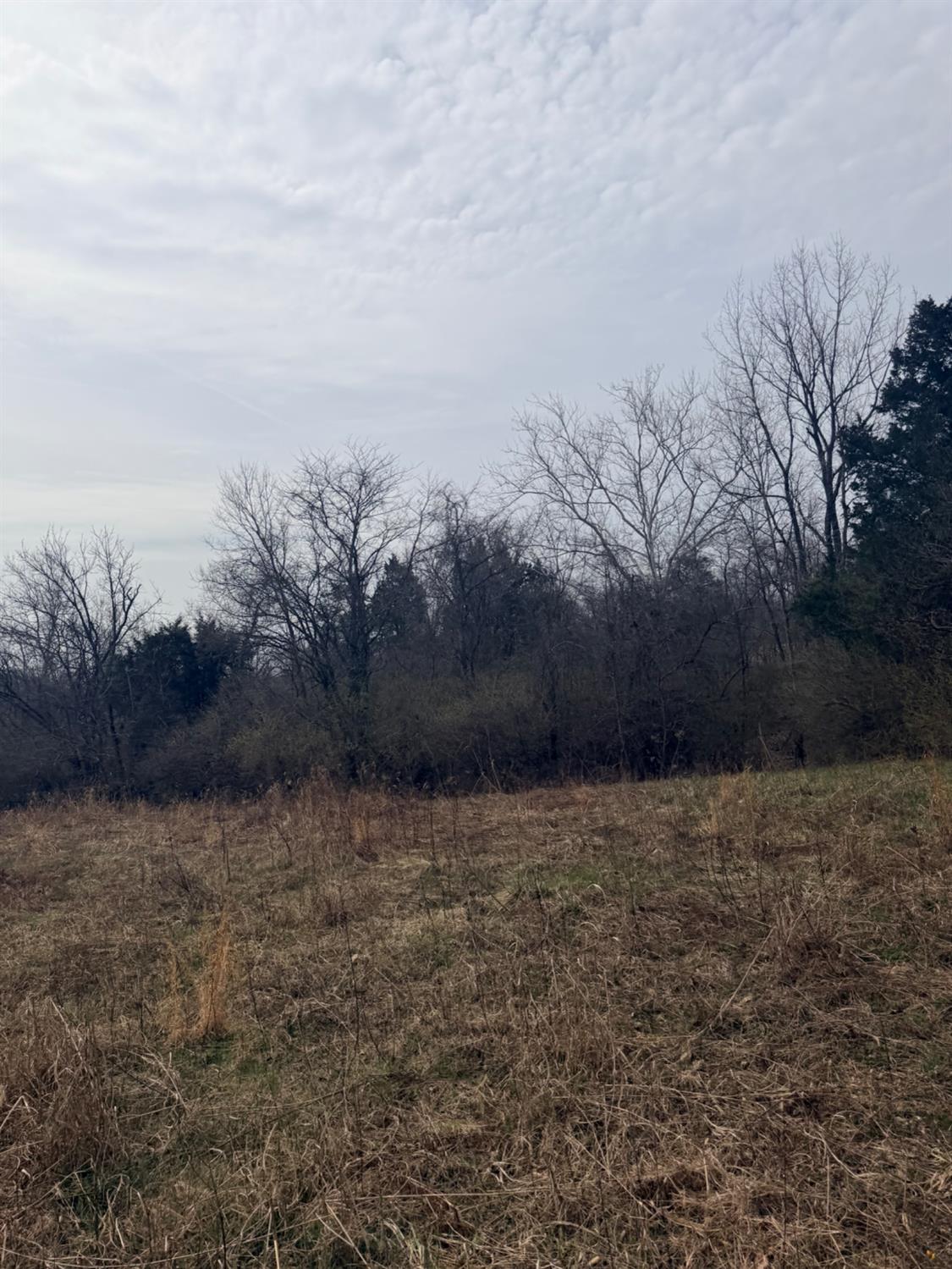 4035 Calihan Road West Harrison, IN 47060 - Photo 44 of 68