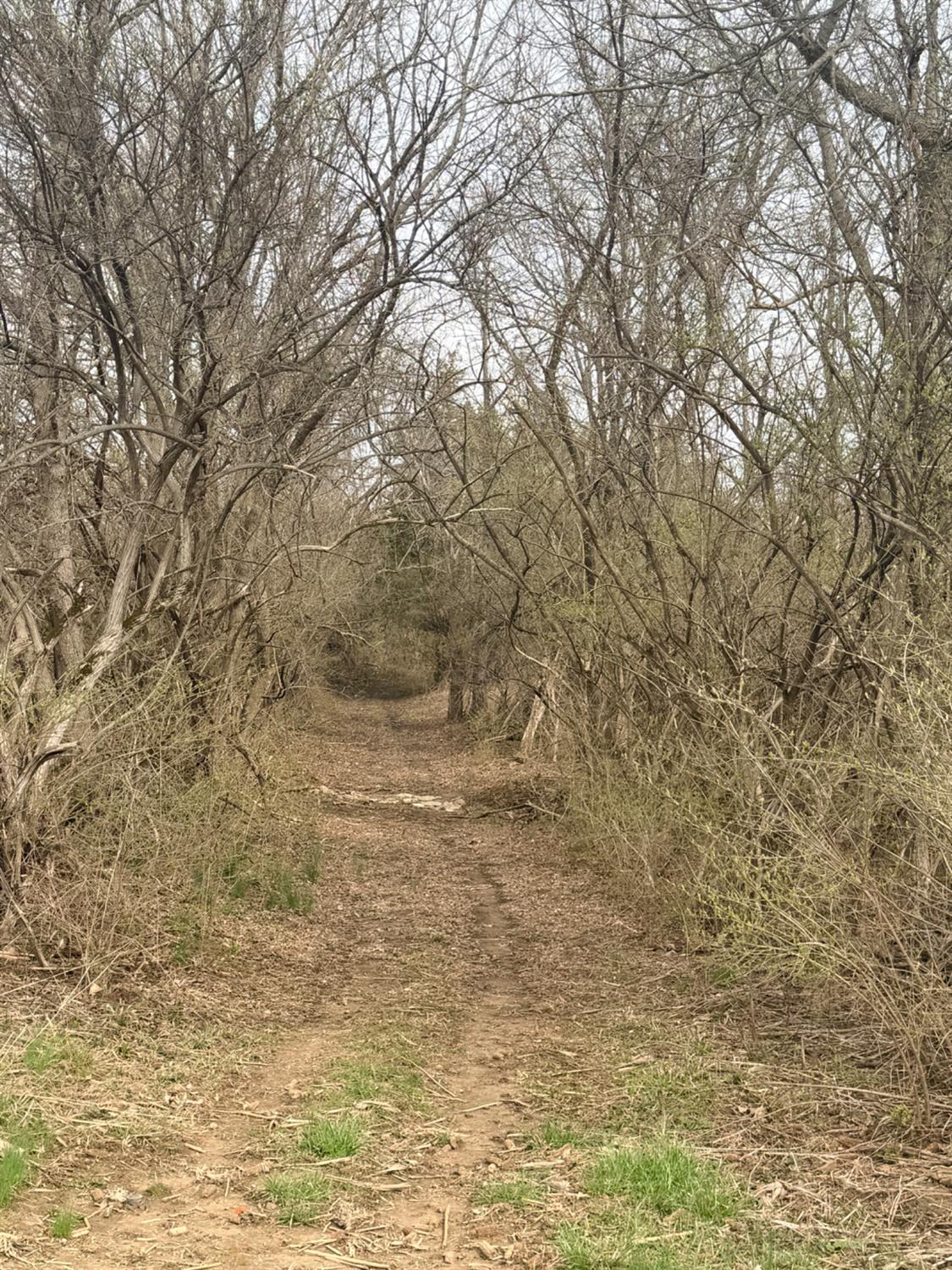 4035 Calihan Road West Harrison, IN 47060 - Photo 47 of 68