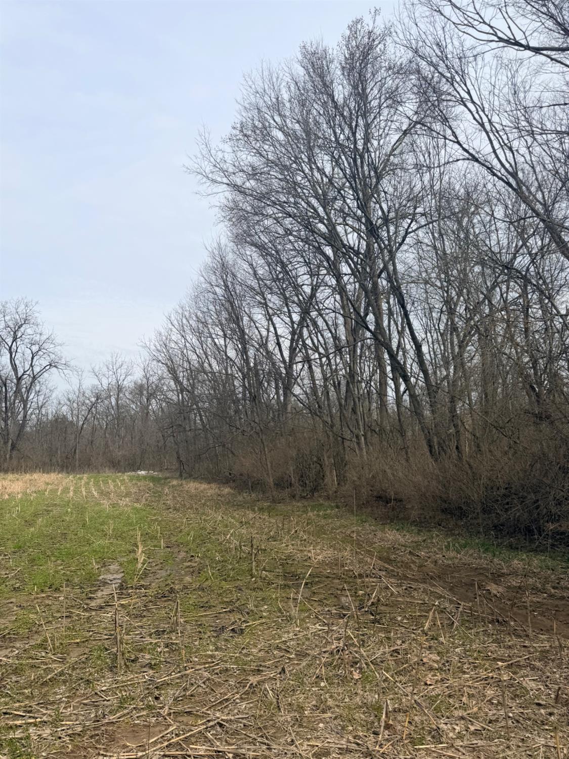 4035 Calihan Road West Harrison, IN 47060 - Photo 50 of 68