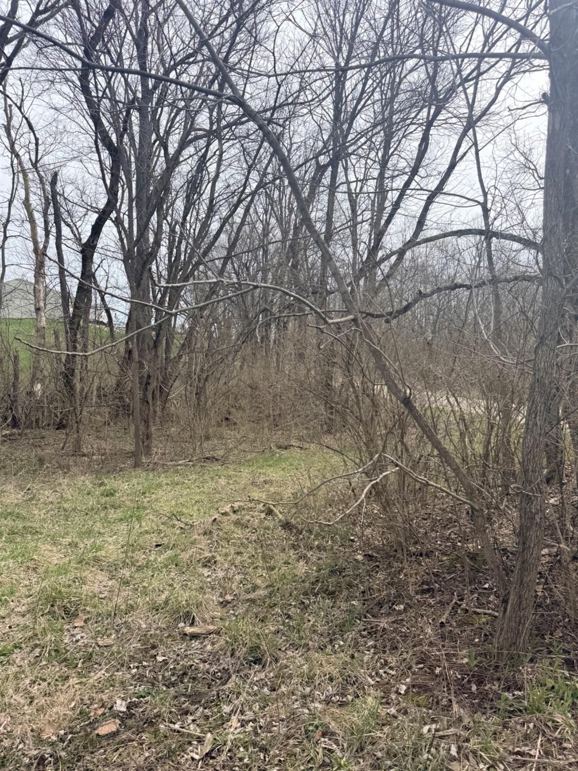 4035 Calihan Road West Harrison, IN 47060 - Photo 51 of 68