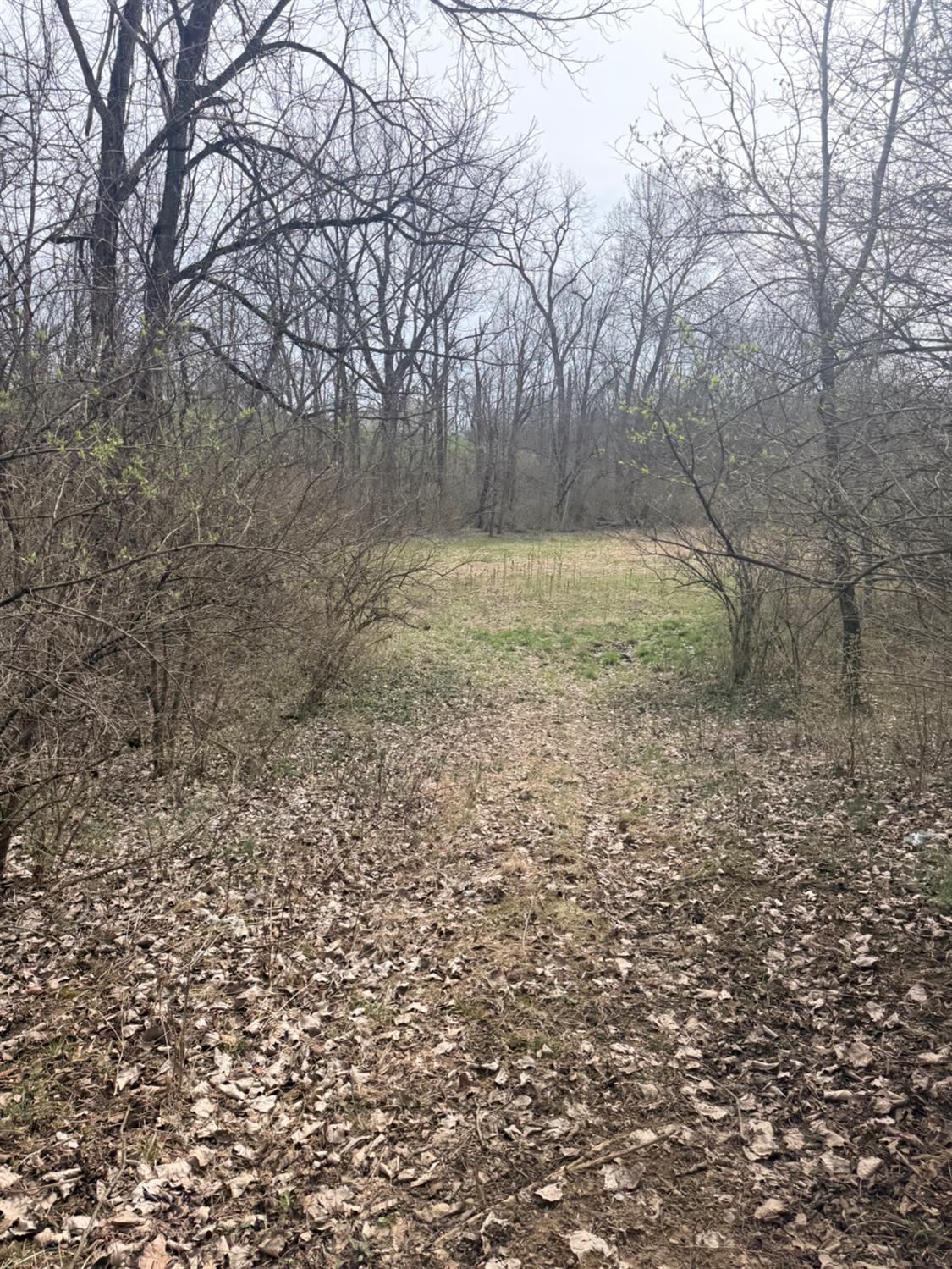 4035 Calihan Road West Harrison, IN 47060 - Photo 56 of 68