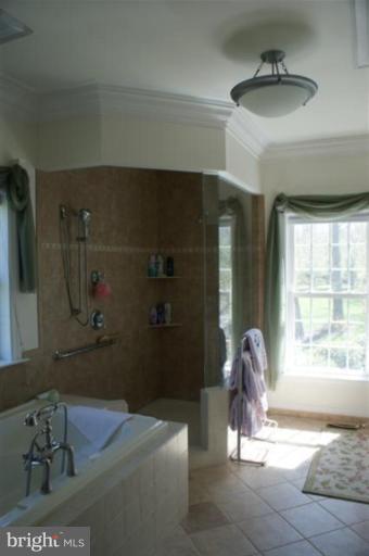 16235 Shaffer Road Sharpsburg, MD 21782 - Photo 6 of 18 Master Bath