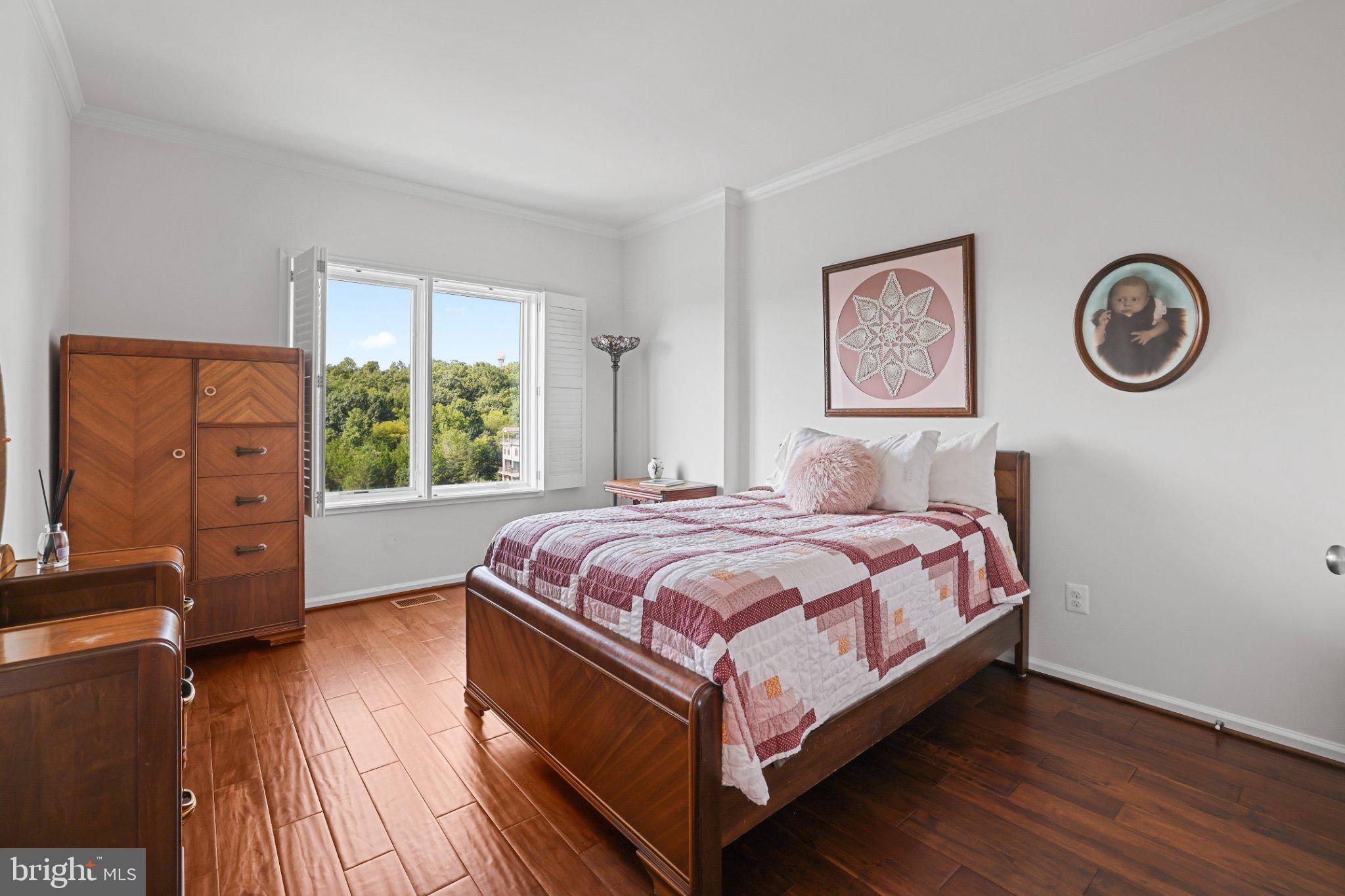 1406 Ribbon Limestone Terrace Southeast Leesburg, VA 20175 - Photo 21 of 39 3rd Bedroom