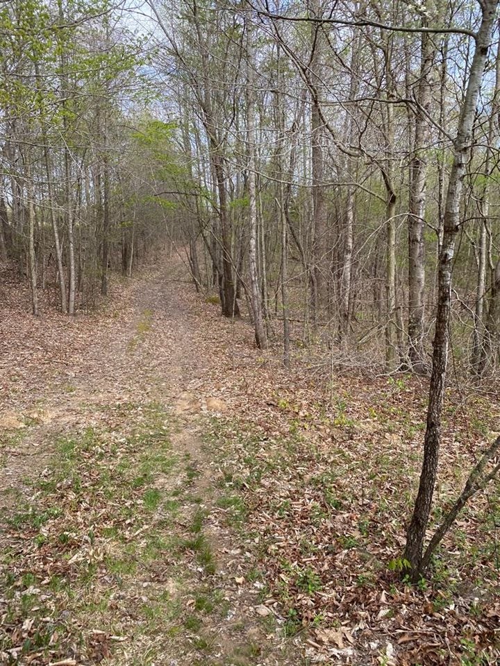 50-ac 50-ac Anderson Road Breeding, KY 42715 - Photo 20 of 24 Gallery Image 20