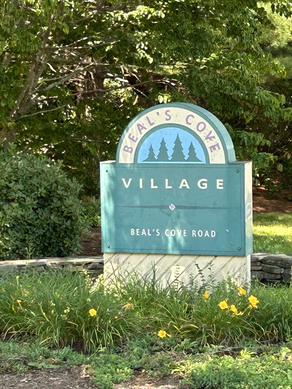 a view of swimming pool with a garden