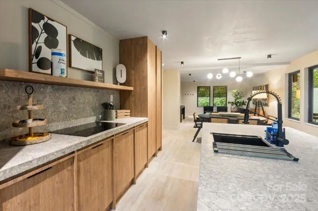 a view of a forest with trees