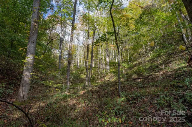 $1,500,000 | 4040 Asheville Highway, Pisgah Forest, NC 28768