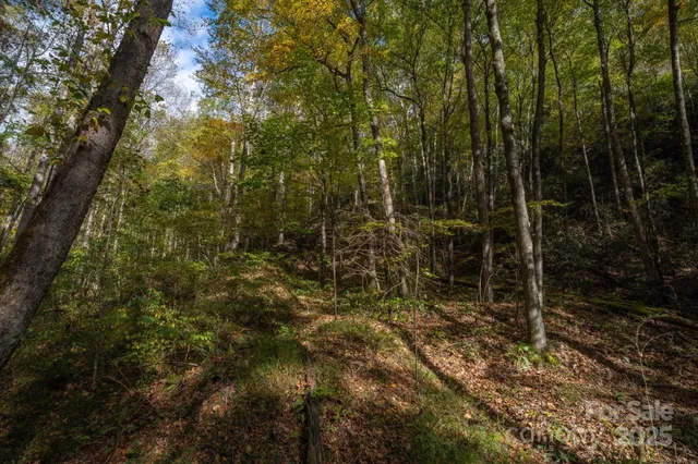 $1,500,000 | 4040 Asheville Highway, Pisgah Forest, NC 28768