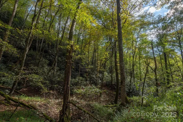 $1,500,000 | 4040 Asheville Highway, Pisgah Forest, NC 28768