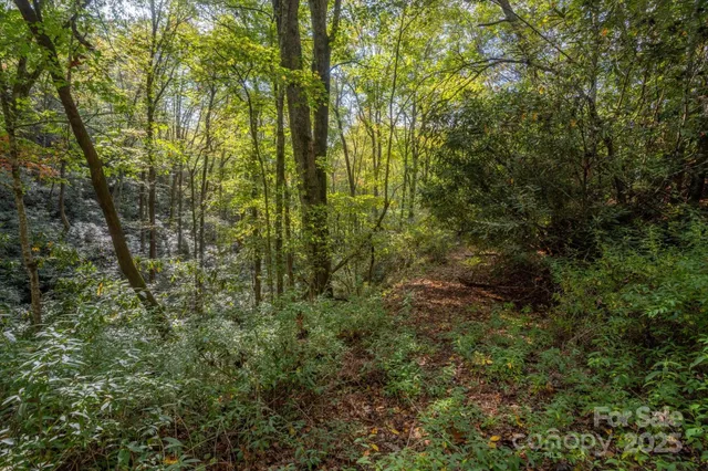 $1,500,000 | 4040 Asheville Highway, Pisgah Forest, NC 28768