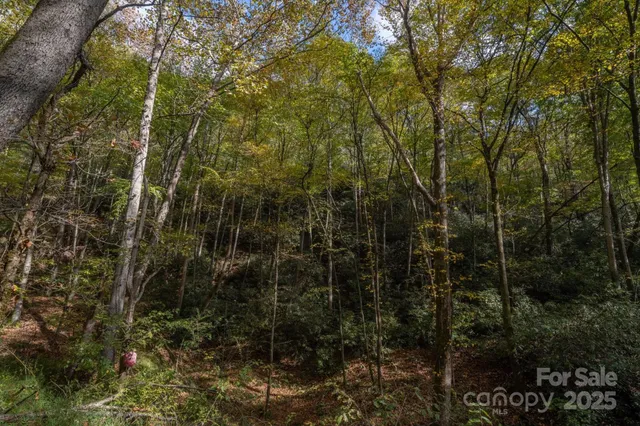 $1,500,000 | 4040 Asheville Highway, Pisgah Forest, NC 28768