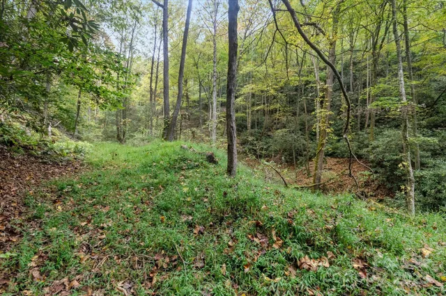 a bedroom with a bed and a lamp