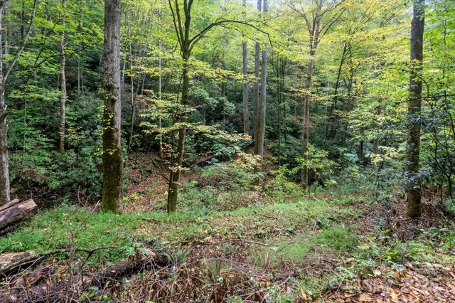 a lobby with furniture and rug