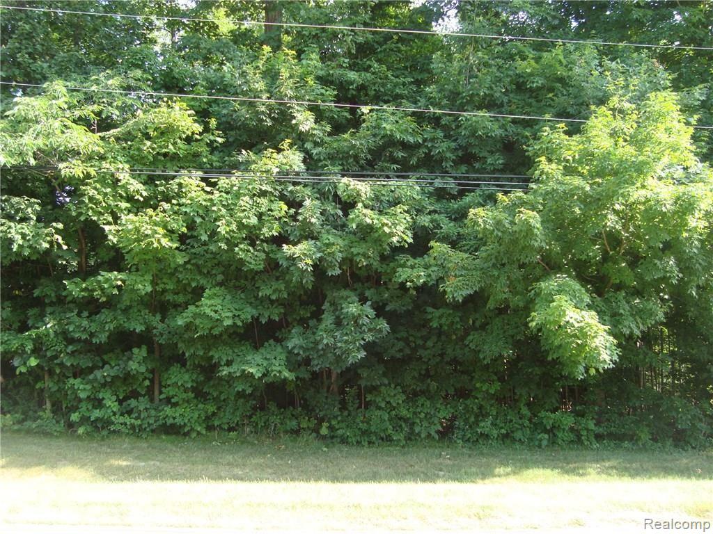 0 Hazelton Avenue Rochester, MI 48307 - Photo 1 of 1