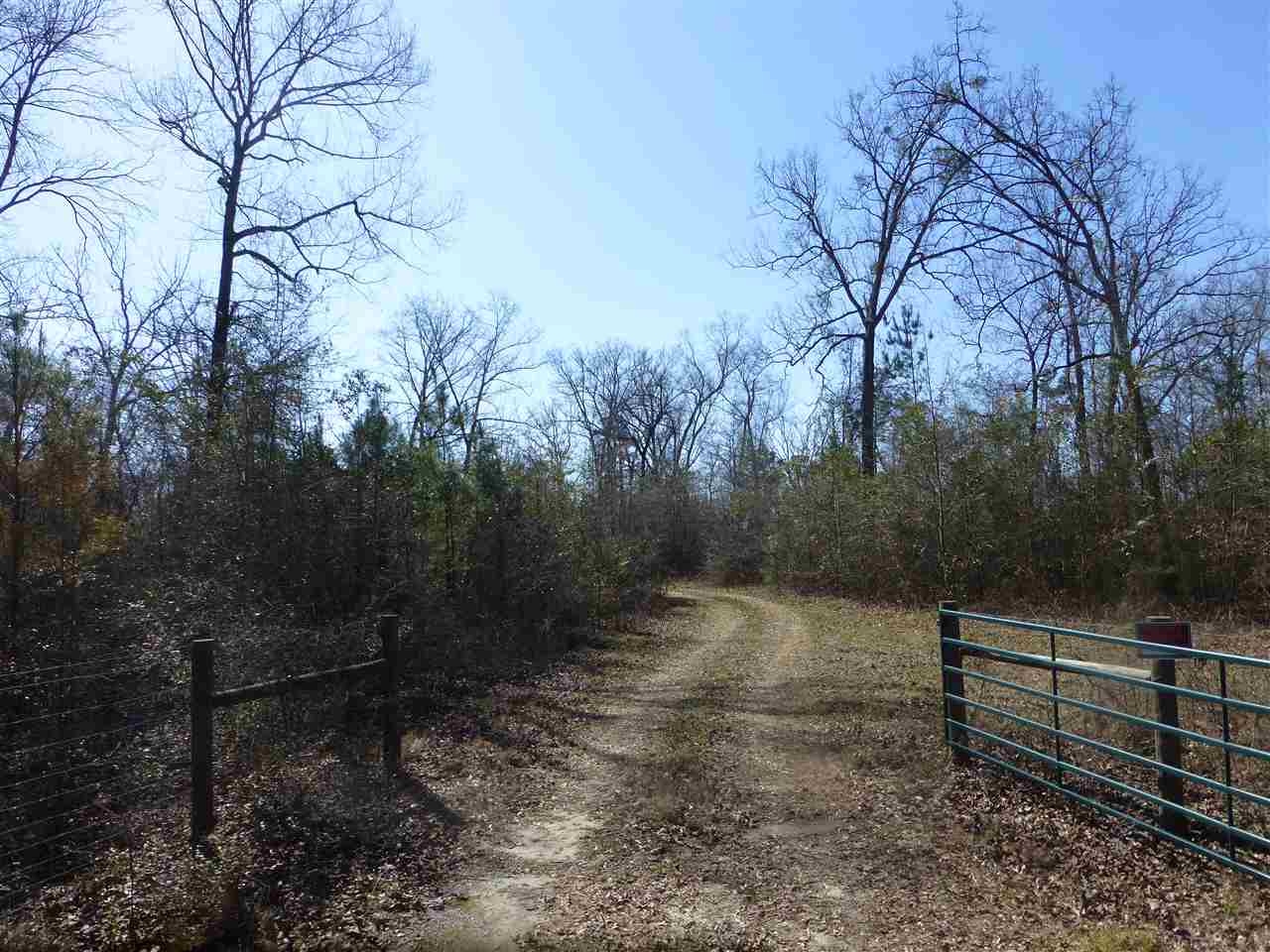Xxx Bond Road, Unit XX Cairo, GA 39827 - Photo 18 of 21