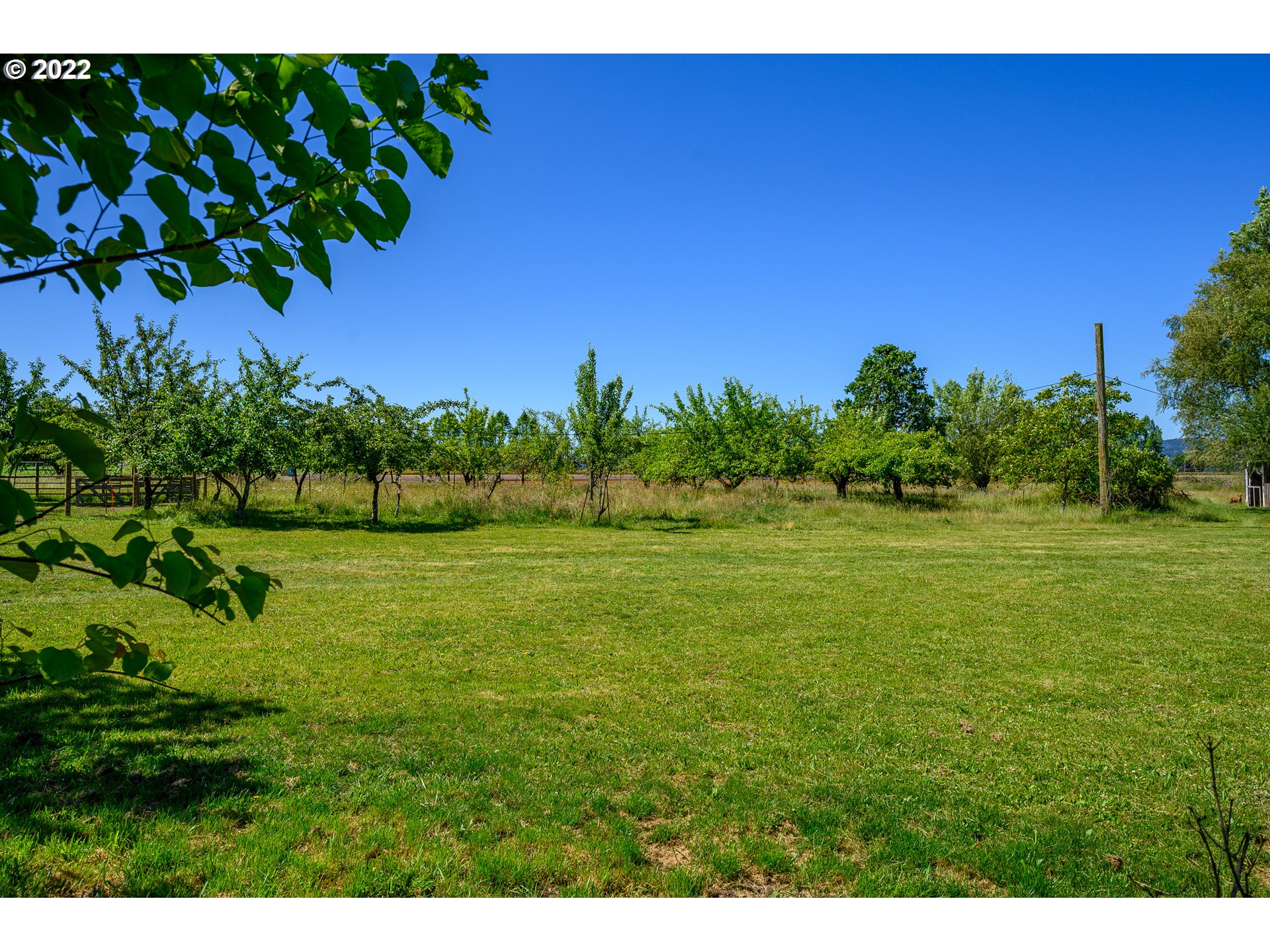16041 Southeast Unionvale Road Dayton, OR 97114 - Photo 30 of 31 a view of a garden