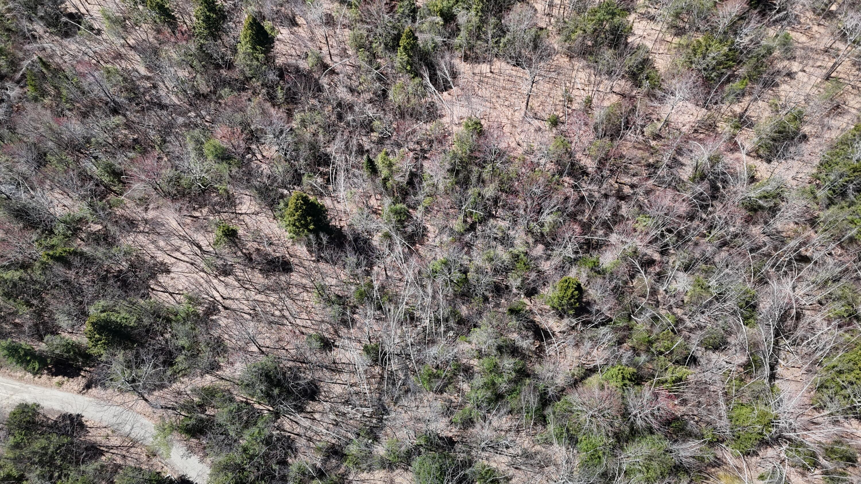 Lot 21 Johnson Road Greene, ME 04236 - Photo 18 of 18 DJI_20240423002831_0005_D