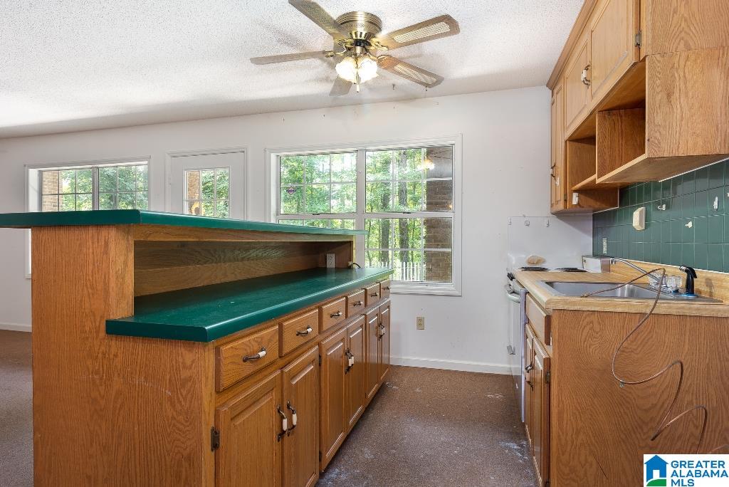8116 Highway 77 Ohatchee, AL 36271 - Photo 6 of 45