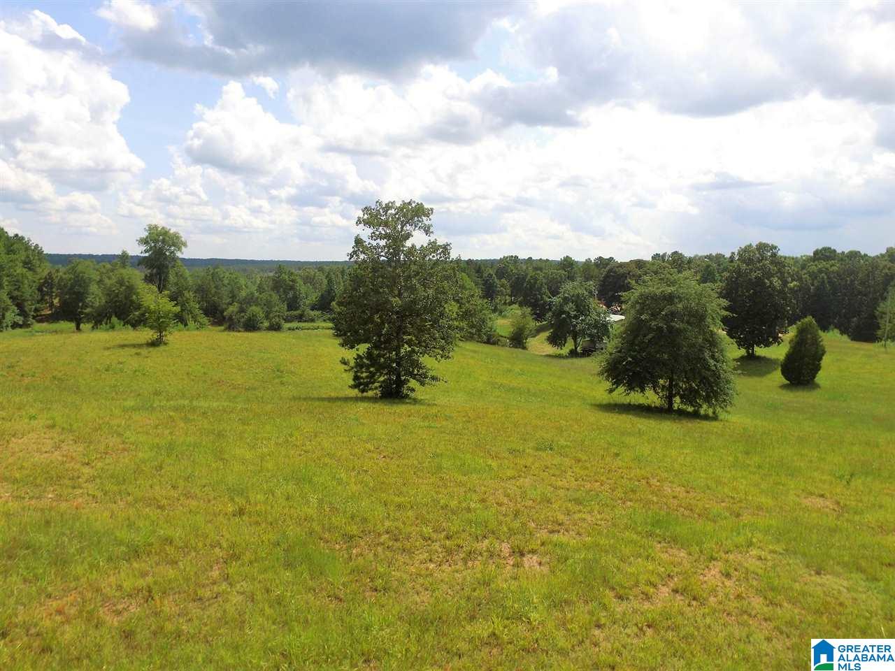 950 County Road 478, Unit 1 Clanton, AL 35046 - Photo 17 of 31