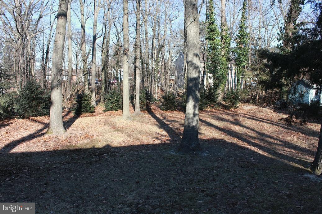 409 Swarthmore Road Glassboro, NJ 08028 - Photo 2 of 13