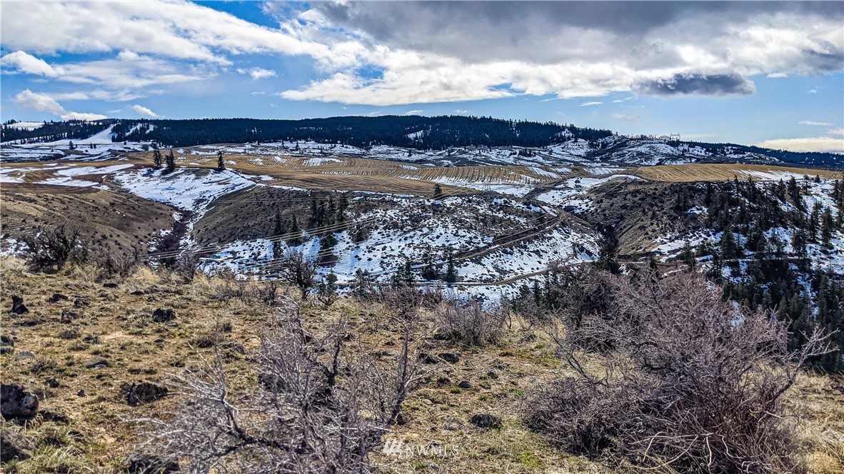 83 Deer Creek Road Waterville, WA 98858 - Photo 12 of 40 Gallery Image 12