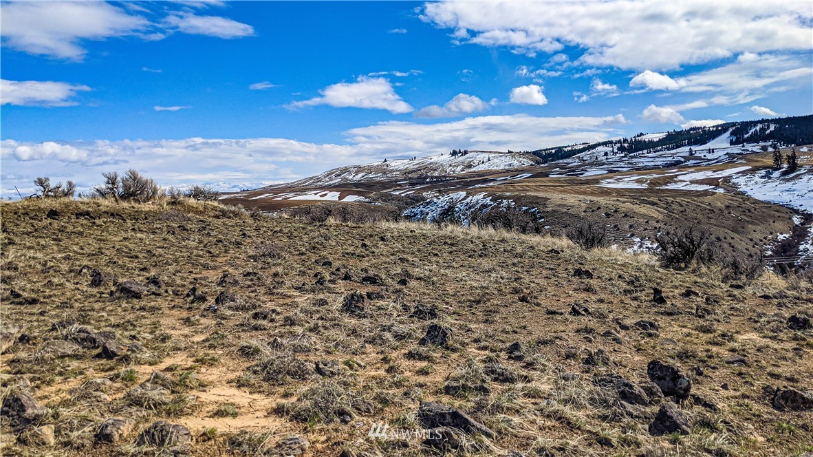 83 Deer Creek Road Waterville, WA 98858 - Photo 13 of 40 Gallery Image 13