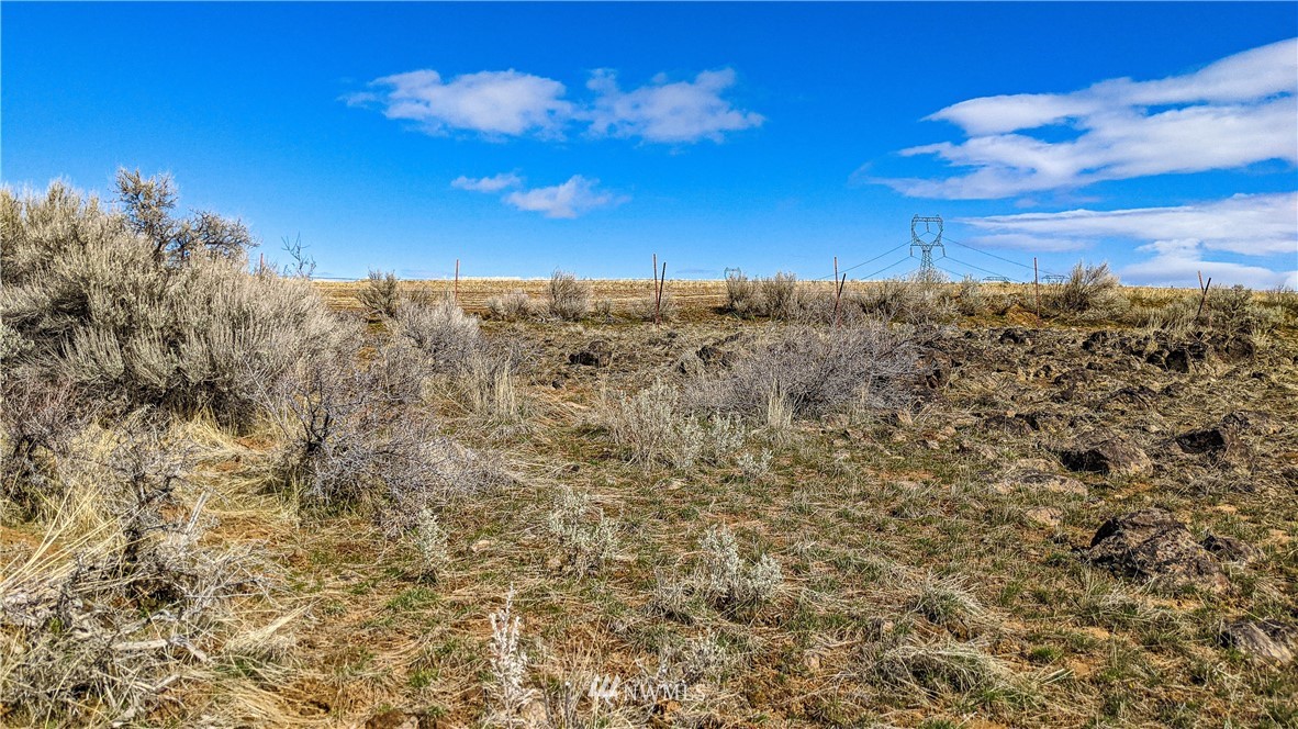 83 Deer Creek Road Waterville, WA 98858 - Photo 15 of 40 Gallery Image 15