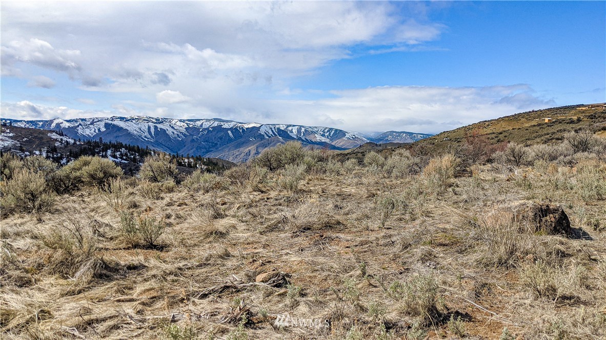 83 Deer Creek Road Waterville, WA 98858 - Photo 3 of 40 Gallery Image 3