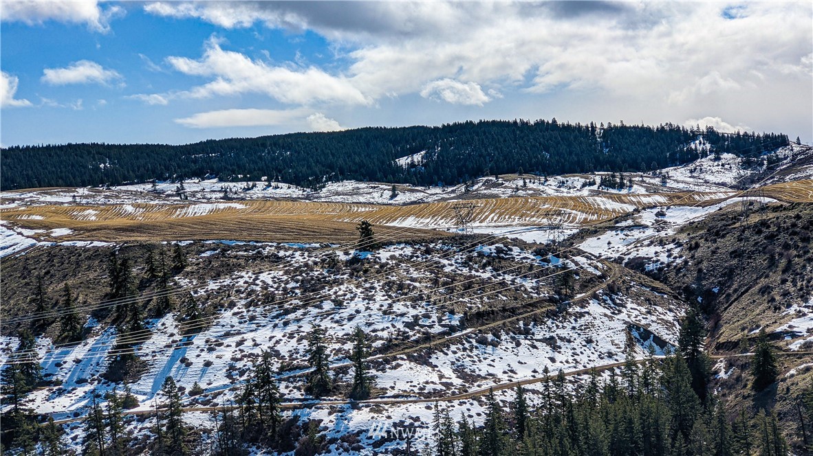 83 Deer Creek Road Waterville, WA 98858 - Photo 24 of 40 Gallery Image 24