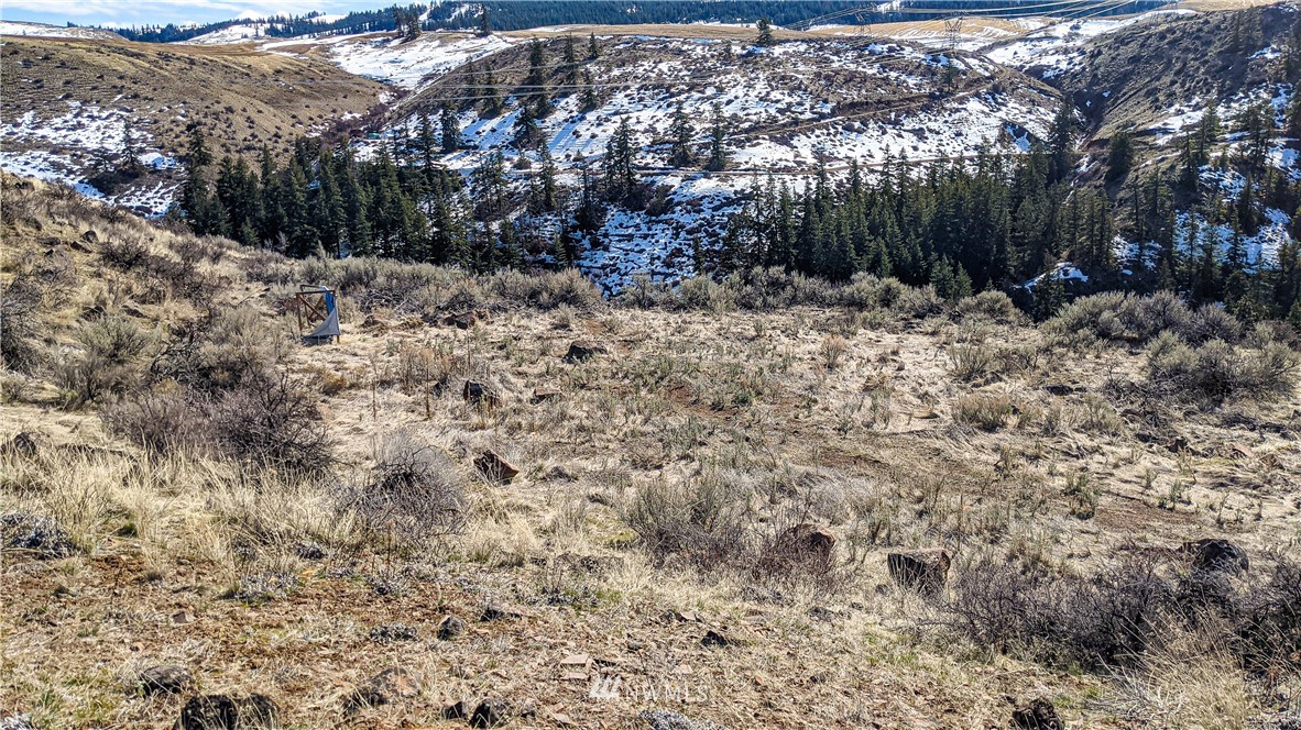 83 Deer Creek Road Waterville, WA 98858 - Photo 33 of 40 Gallery Image 33