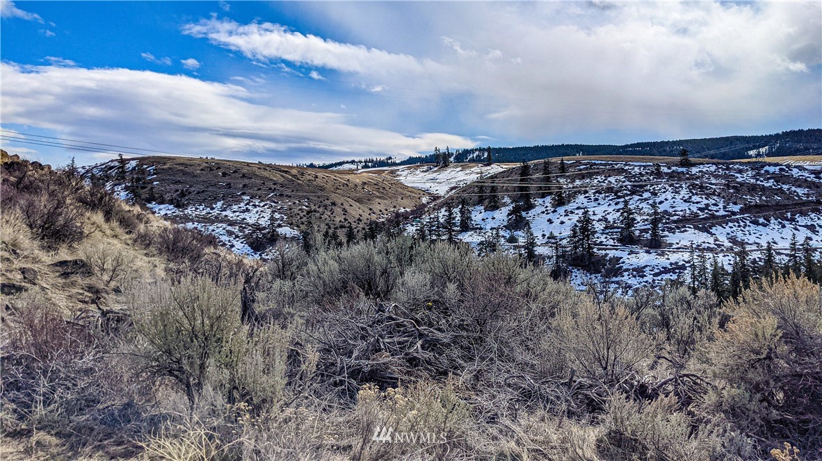 83 Deer Creek Road Waterville, WA 98858 - Photo 9 of 40 Gallery Image 9