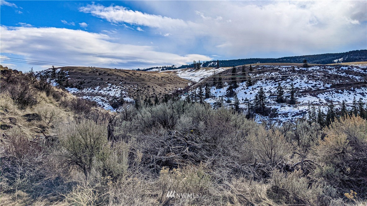 83 Deer Creek Road Waterville, WA 98858 - Photo 10 of 40 Gallery Image 10