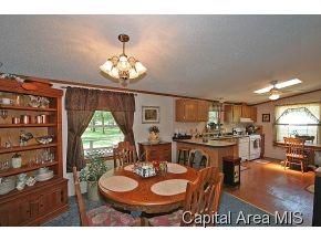 31366 Terry Park Road Palmyra, IL 62674 - Photo 6 of 12