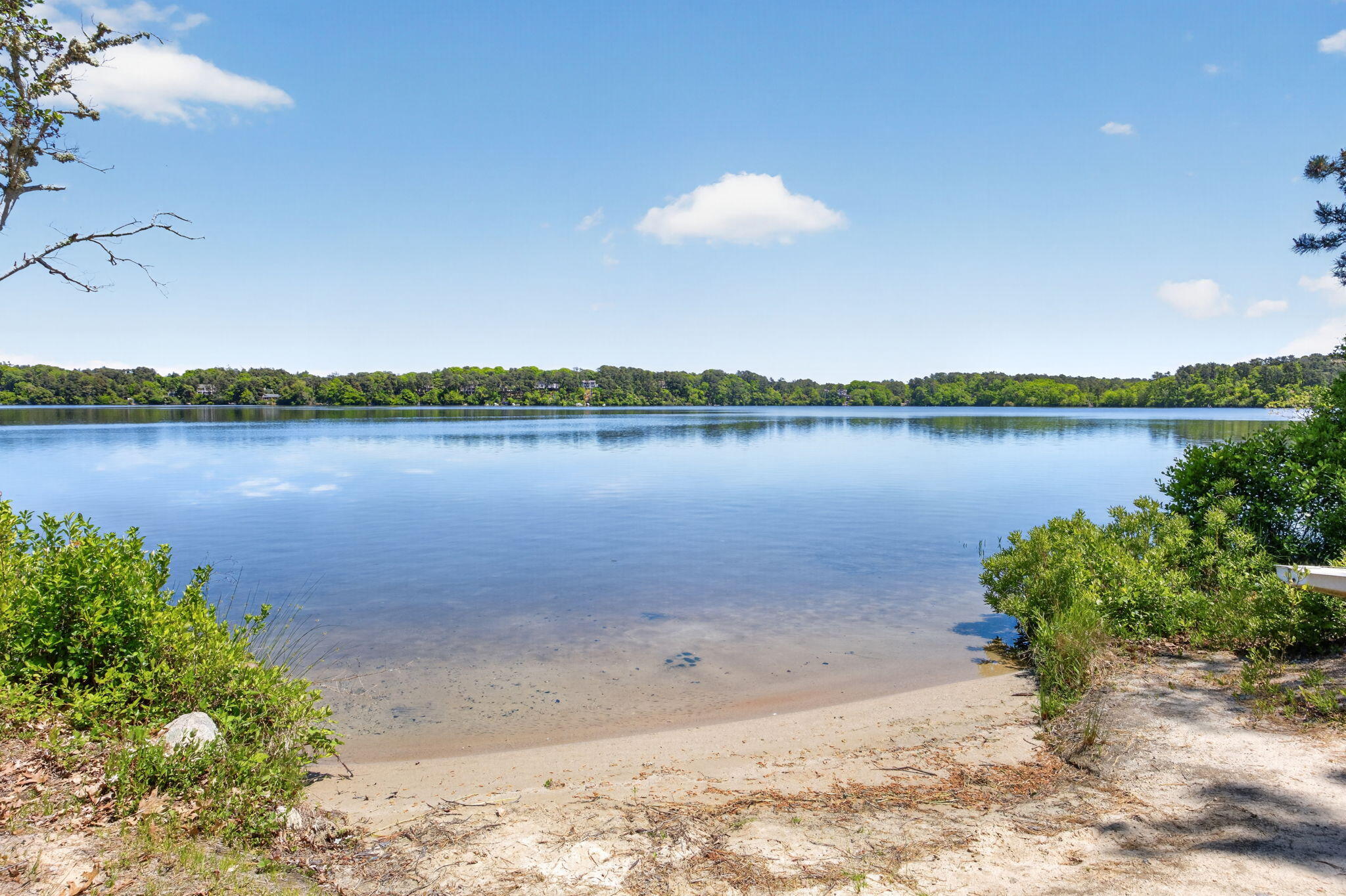 98 Leland Road Brewster, MA 02631 - Photo 29 of 32 Take a dip!