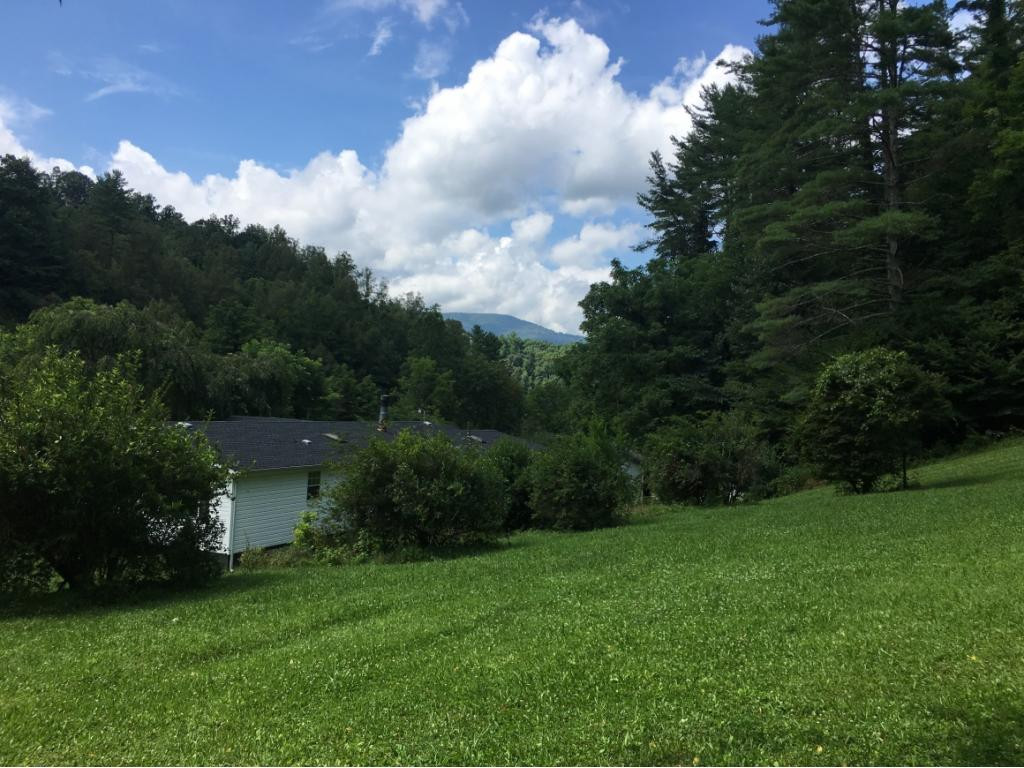 425 Coffee Ridge Road Erwin, TN 37650 - Photo 12 of 15 Photo 12