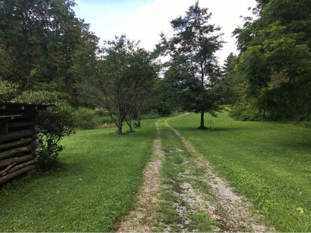 425 Coffee Ridge Road Erwin, TN 37650 - Photo 7 of 15 Photo 7