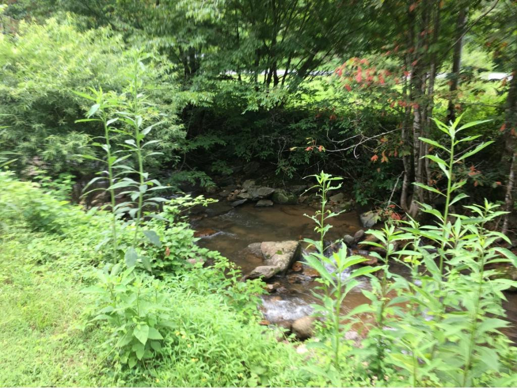425 Coffee Ridge Road Erwin, TN 37650 - Photo 8 of 15 Photo 8