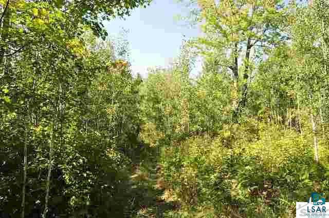 0 Elm Hoist Road Marengo, WI 54855 - Photo 2 of 17 Gallery Image 2