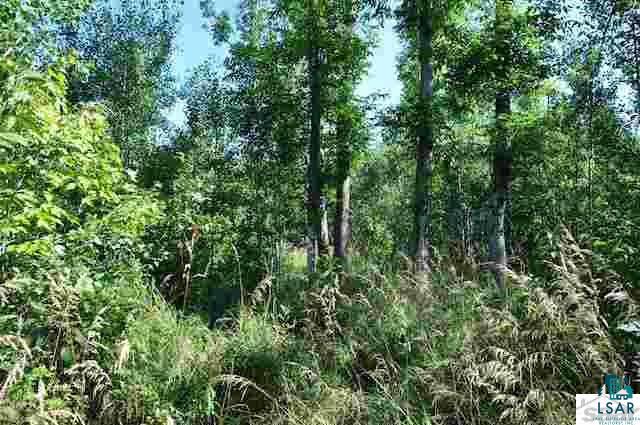 0 Elm Hoist Road Marengo, WI 54855 - Photo 3 of 17 Gallery Image 3